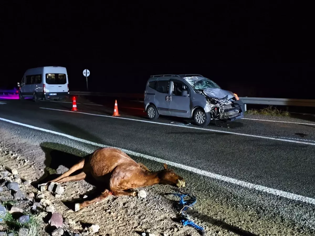 Kağızman\'da Hayvanlara Çarpan Araçta İki Yaralı
