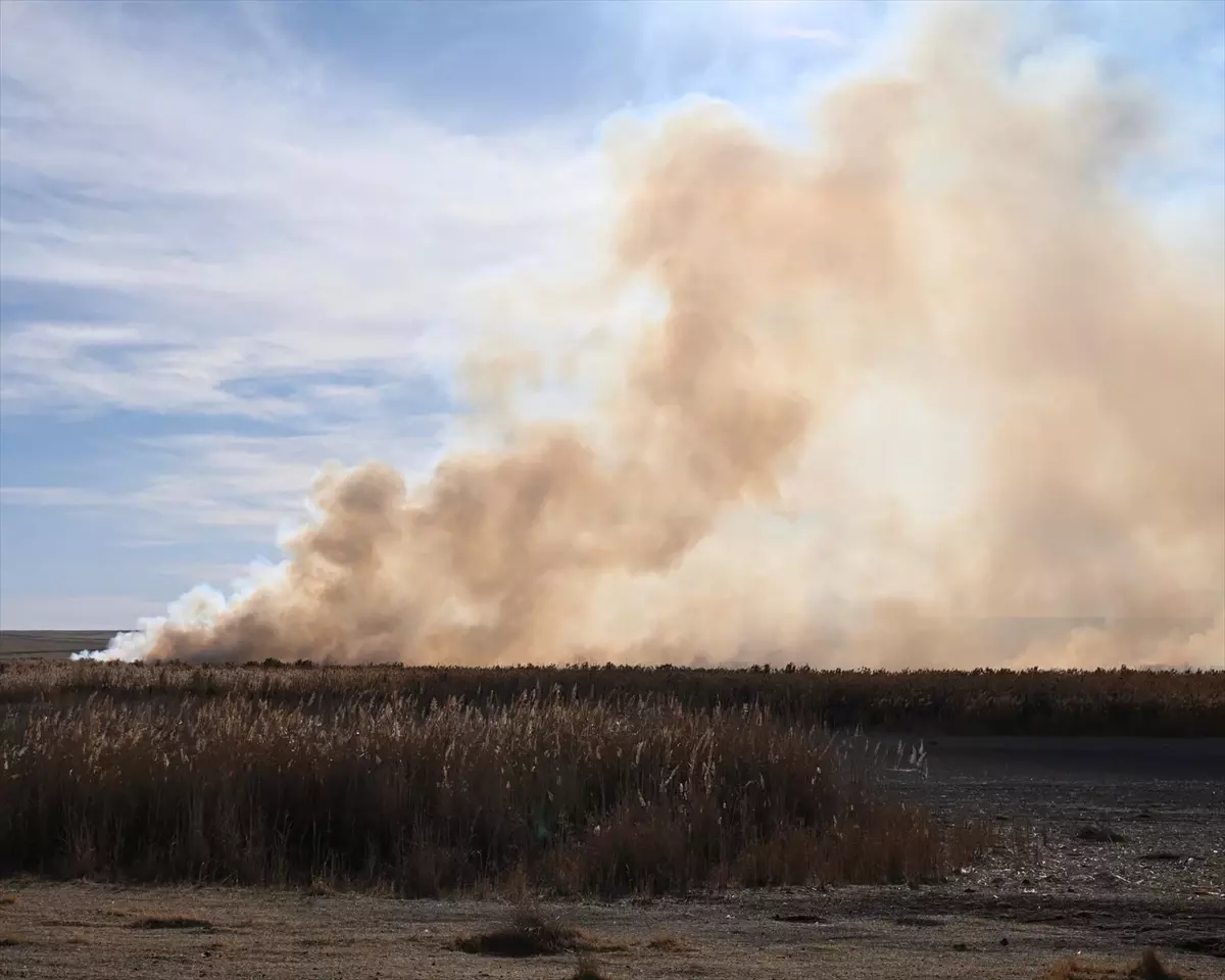 Kulu\'da Kuş Cenneti Yangında