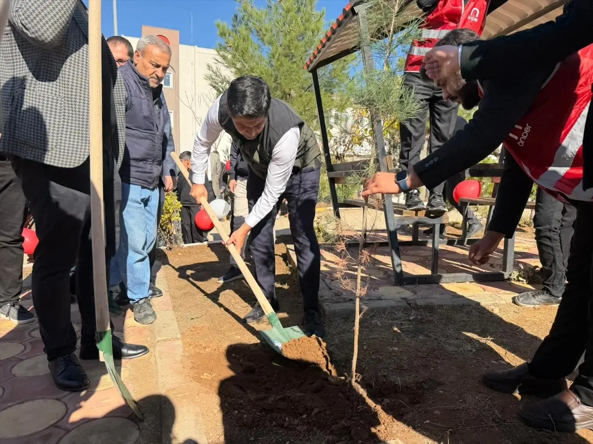 Mardin\'de Fidan Dikim Etkinliği
