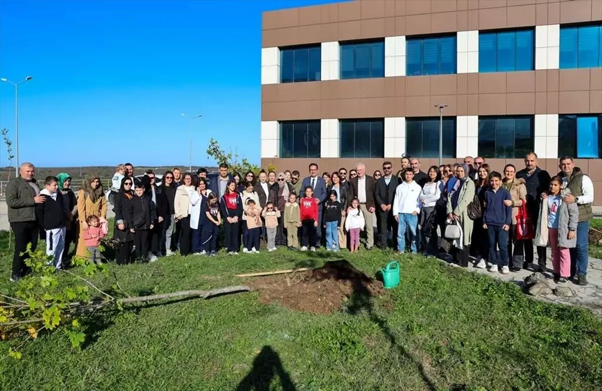 OMÜ Diyabet Ormanı Fidan Dikimi