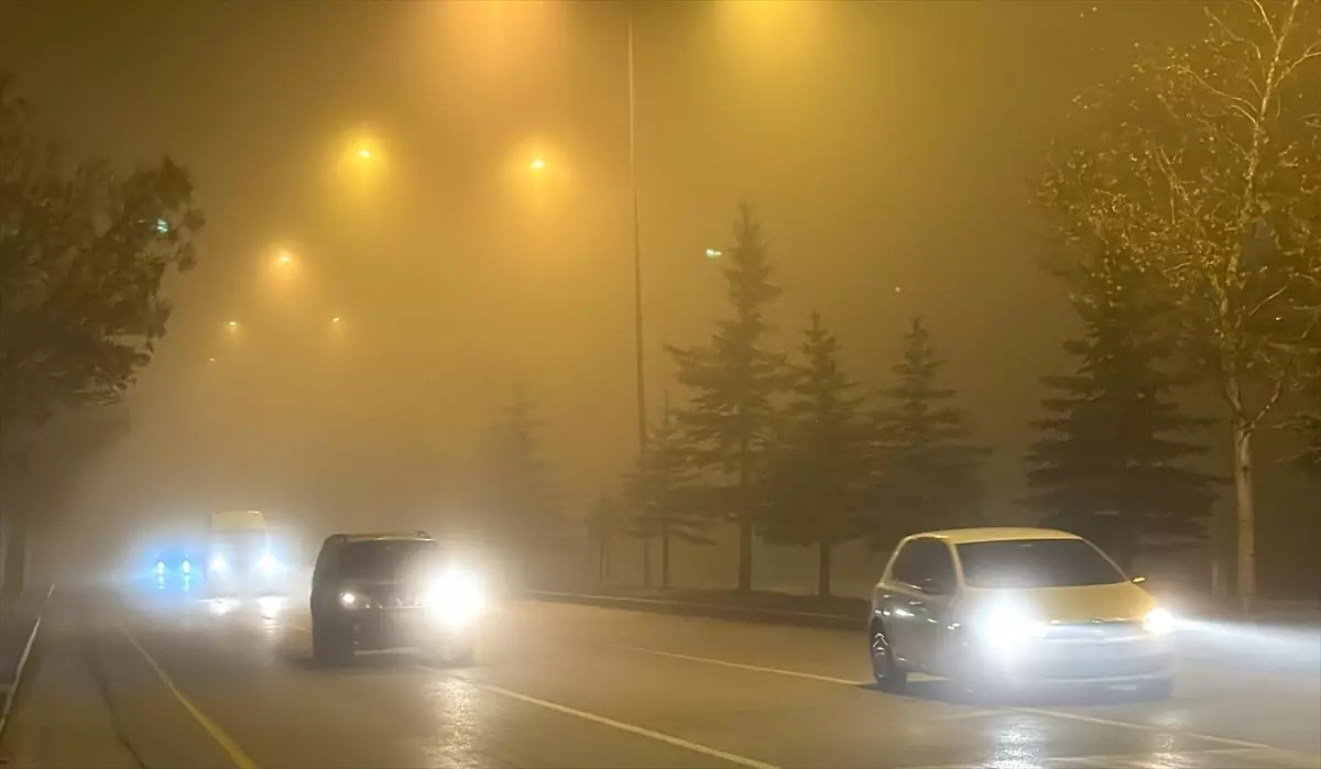 Erzurum\'da Soğuk Hava ve Yoğun Sis