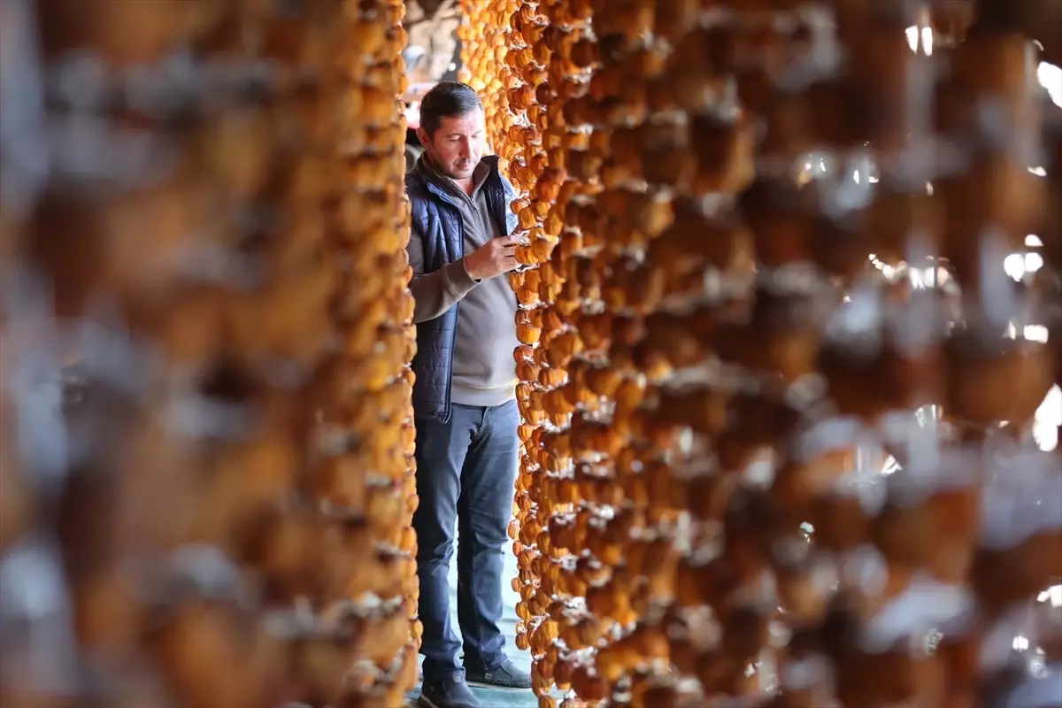 Bahçeli\'de Cennet Hurması İle Yenilik