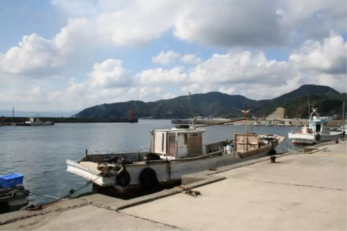 Japonya\'da Yangın: 170 Bina Hasar Gördü