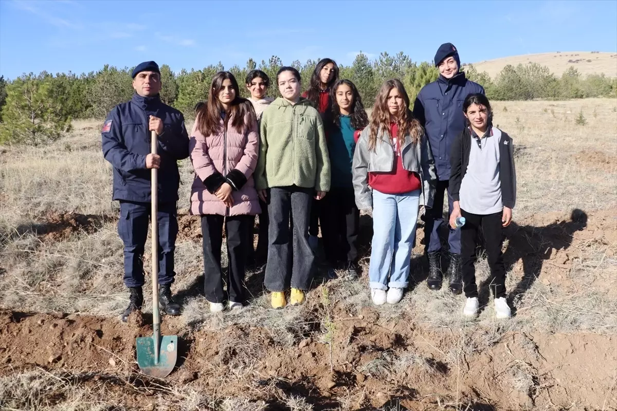 Kırşehir\'de jandarma 700 fidanı toprakla buluşturdu