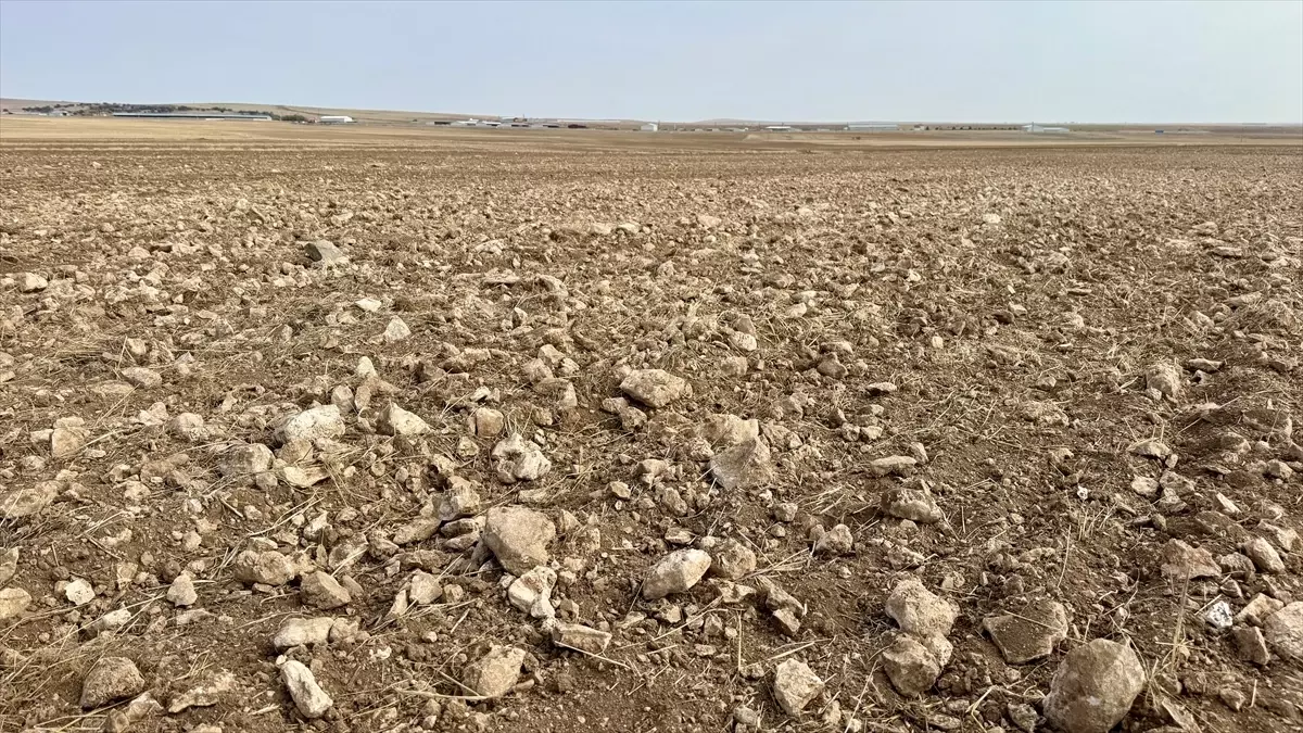 Kırşehir\'de 4 Bin Dönüm Tarla Taşları Temizlendi