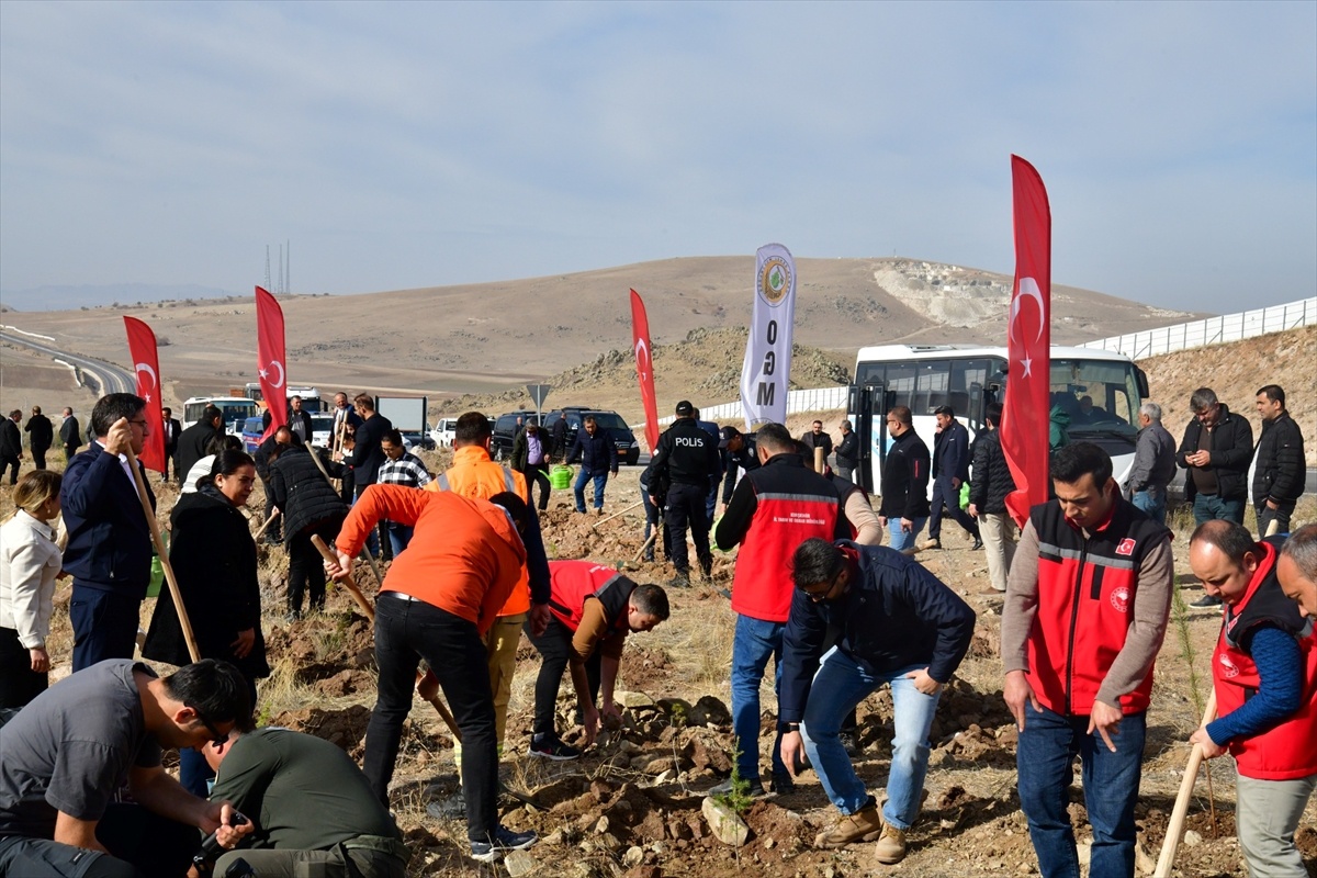 Kırşehir\'de 1000 Fidan Dikildi