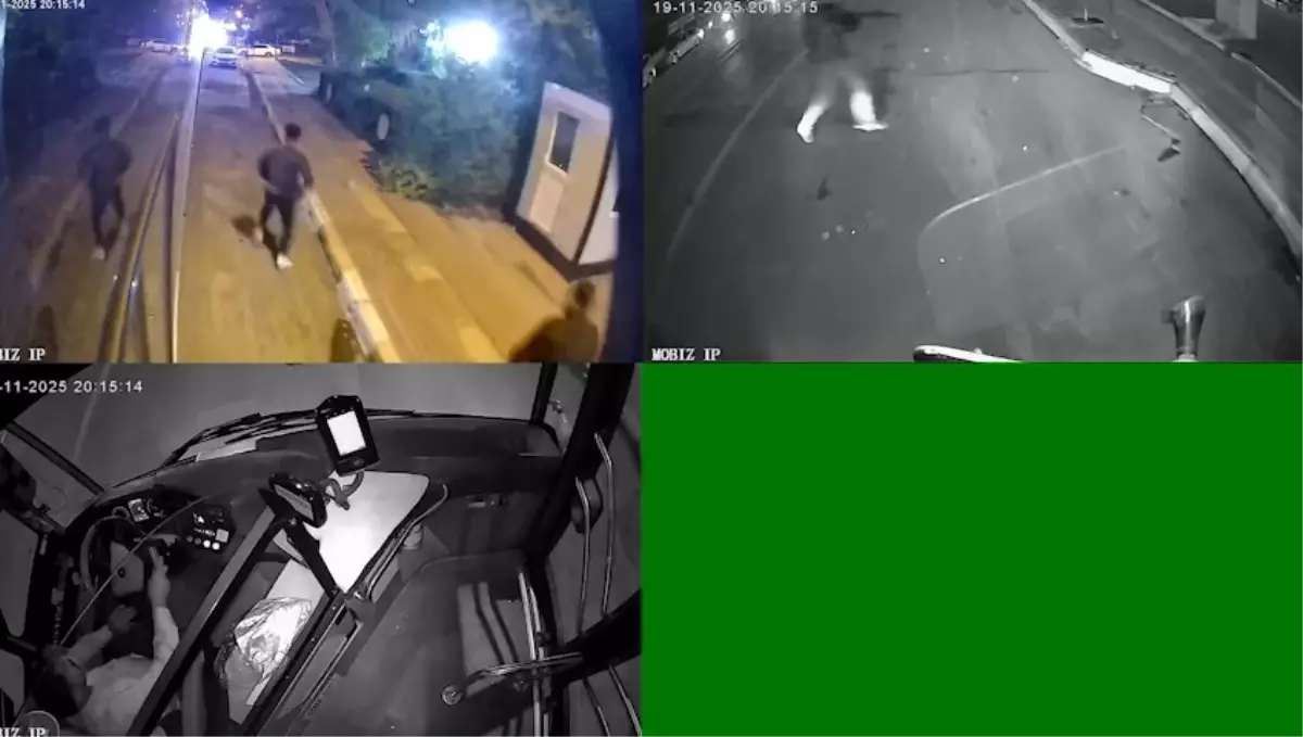 Şanlıurfa\'da Silahlı Kavga: 2 Yaralı