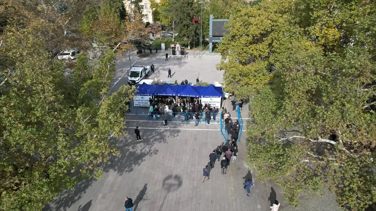 Çubuk\'ta Ücretsiz Fidan Dağıtımı