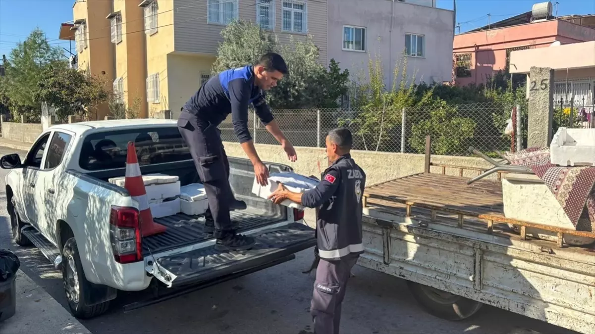 Tarsus\'ta Sağlıksız Balık Satışı İmhayı Getirdi