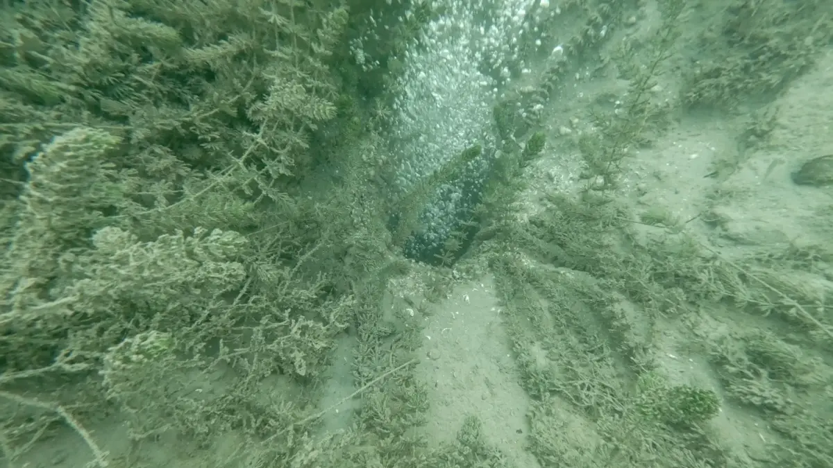 Sapanca Gölü\'ndeki Kabarcıklar Güvenli