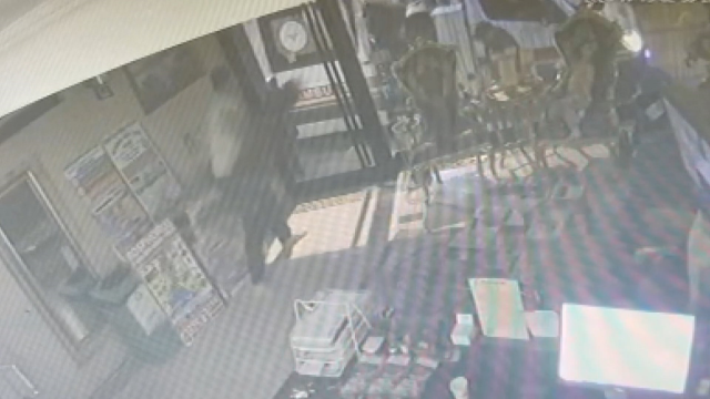 Zehirlenen Böcek ailesinin otelde kilitli kaldığı anlar ortaya çıktı