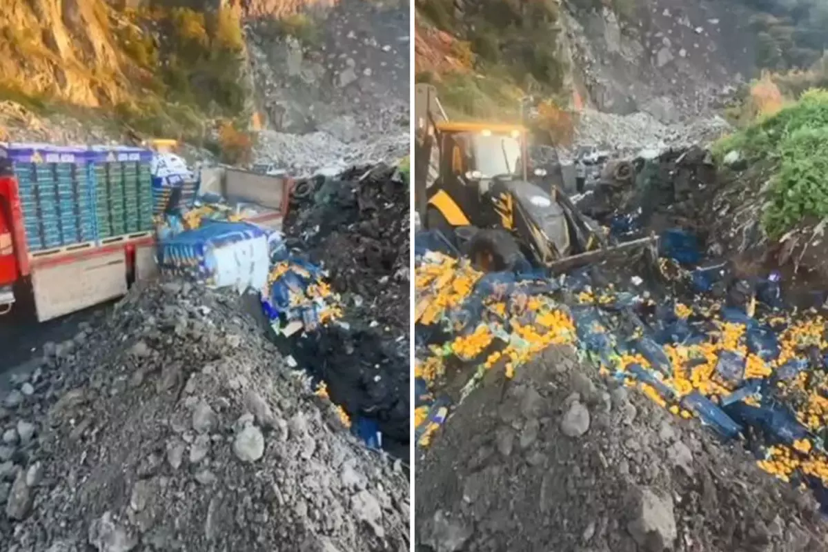 Sınır kapısında zirai ilaç kalıntısı bulunan 6 ton mandalina imha edildi