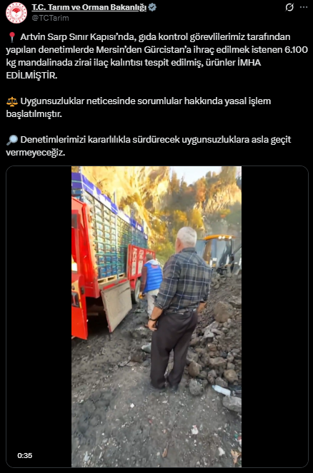 Zirai İlaç Kalıntısı Bulundu, 6 Bin Kilogram Mandalina İmha Edildi, Zirai İlaç Kalıntısı Bulundu, 6 Bin Kilogram Mandalina İmha Edildi,