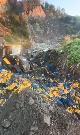 Zirai İlaç Kalıntısı Bulundu, 6 Bin Kilogram Mandalina İmha Edildi, Zirai İlaç Kalıntısı Bulundu, 6 Bin Kilogram Mandalina İmha Edildi,