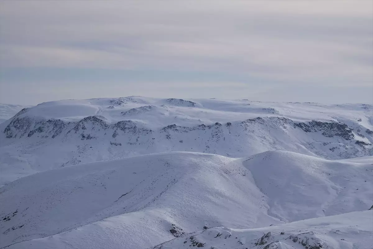 Erzurum ve Ardahan\'da Soğuk Hava Etkili
