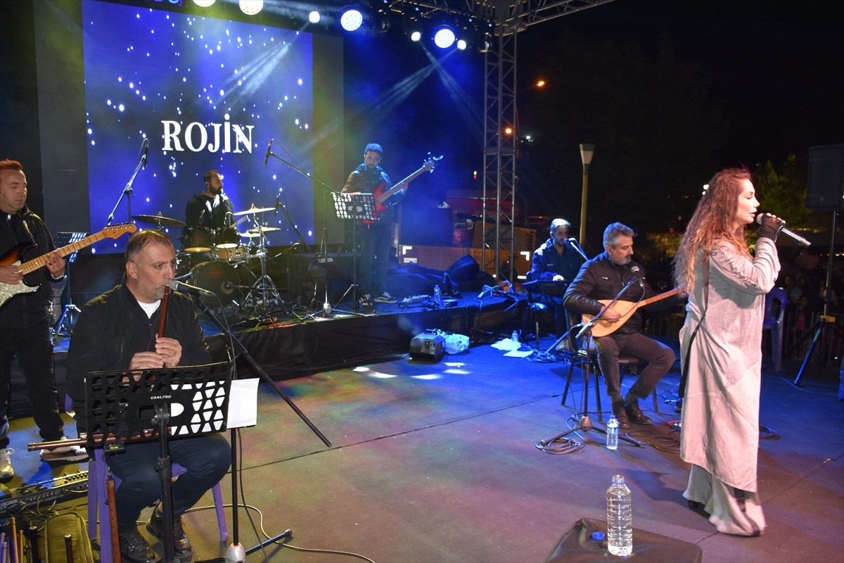 Rojin, Cizre\'de Konser Verdi