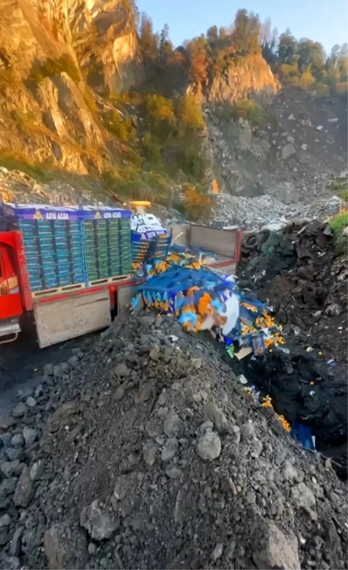 Mandalina İmhası: Zirai İlaç Kalıntısı