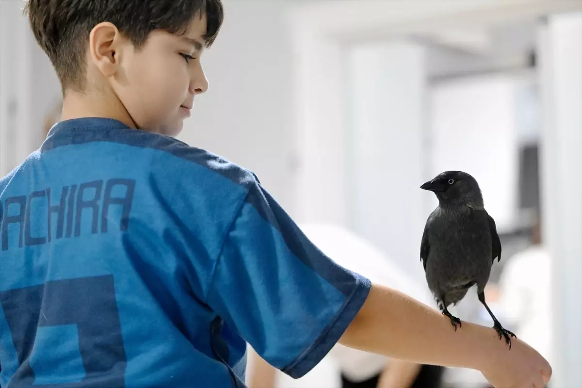 Düzce\'de Emekli Uzman Çavuşun Karga Dostluğu