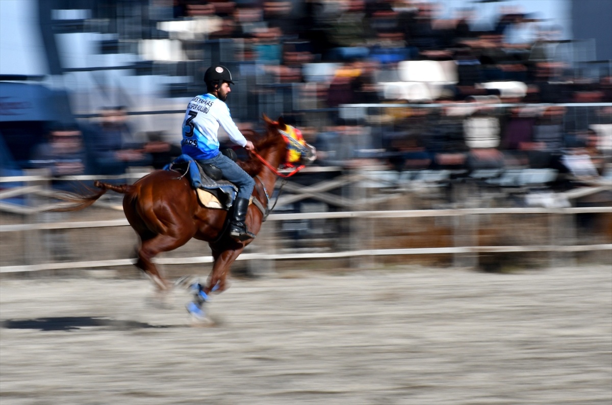 Atlı Sporlar Coşkusu Selim\'de Yaşatıldı