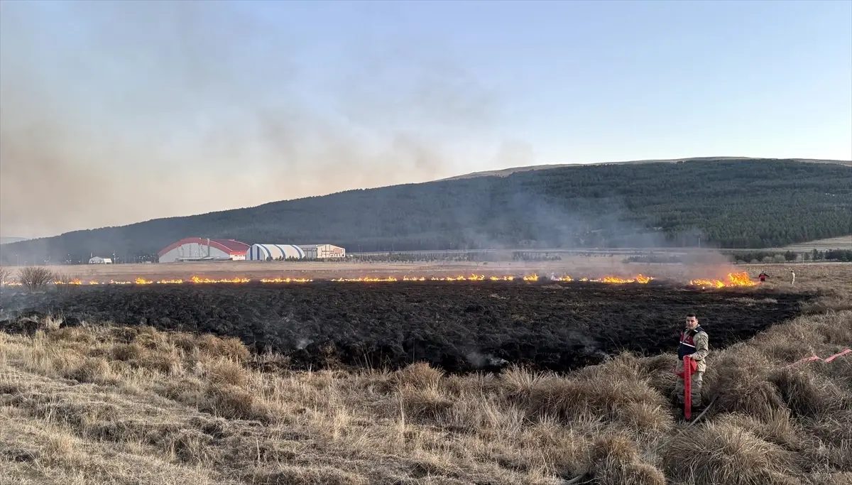 Ardahan\'da Putka Gölü\'nde Yangın