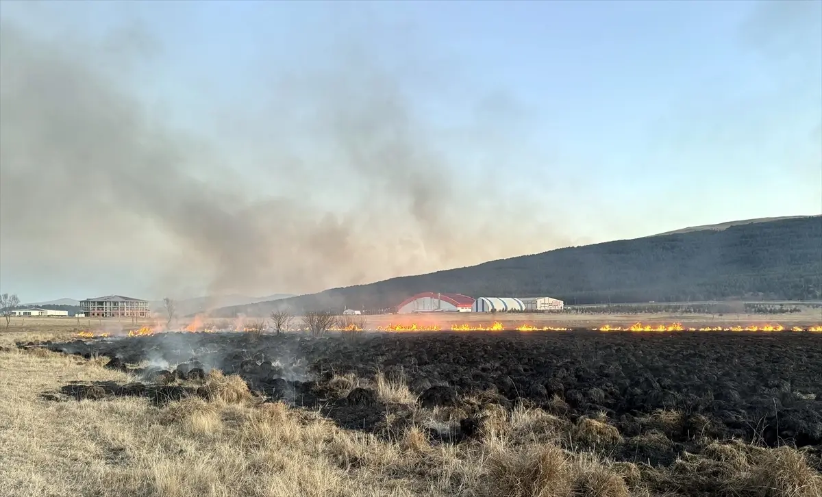 Ardahan\'da Putka Gölü\'nde Yangın