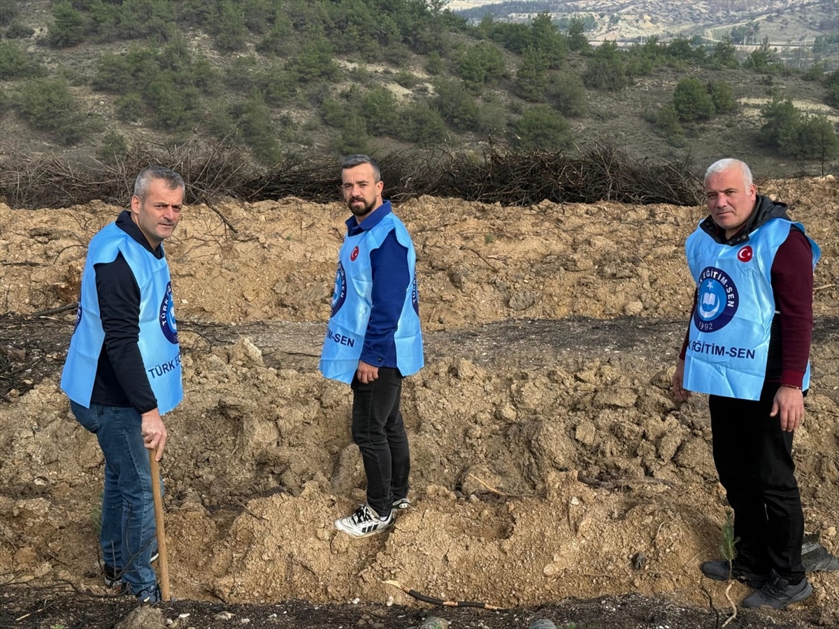 Öğretmenler Günü\'nde Fidan Bağışı