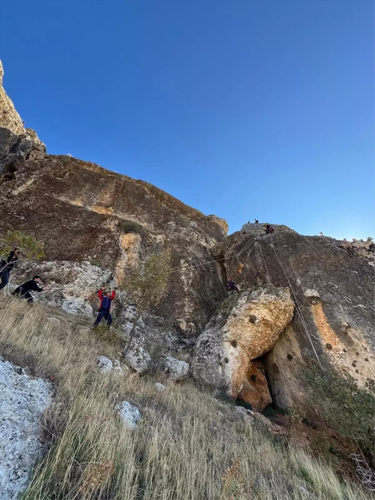 Eğil\'de 25 Keçi Mahsur Kaldı, Kurtarıldı