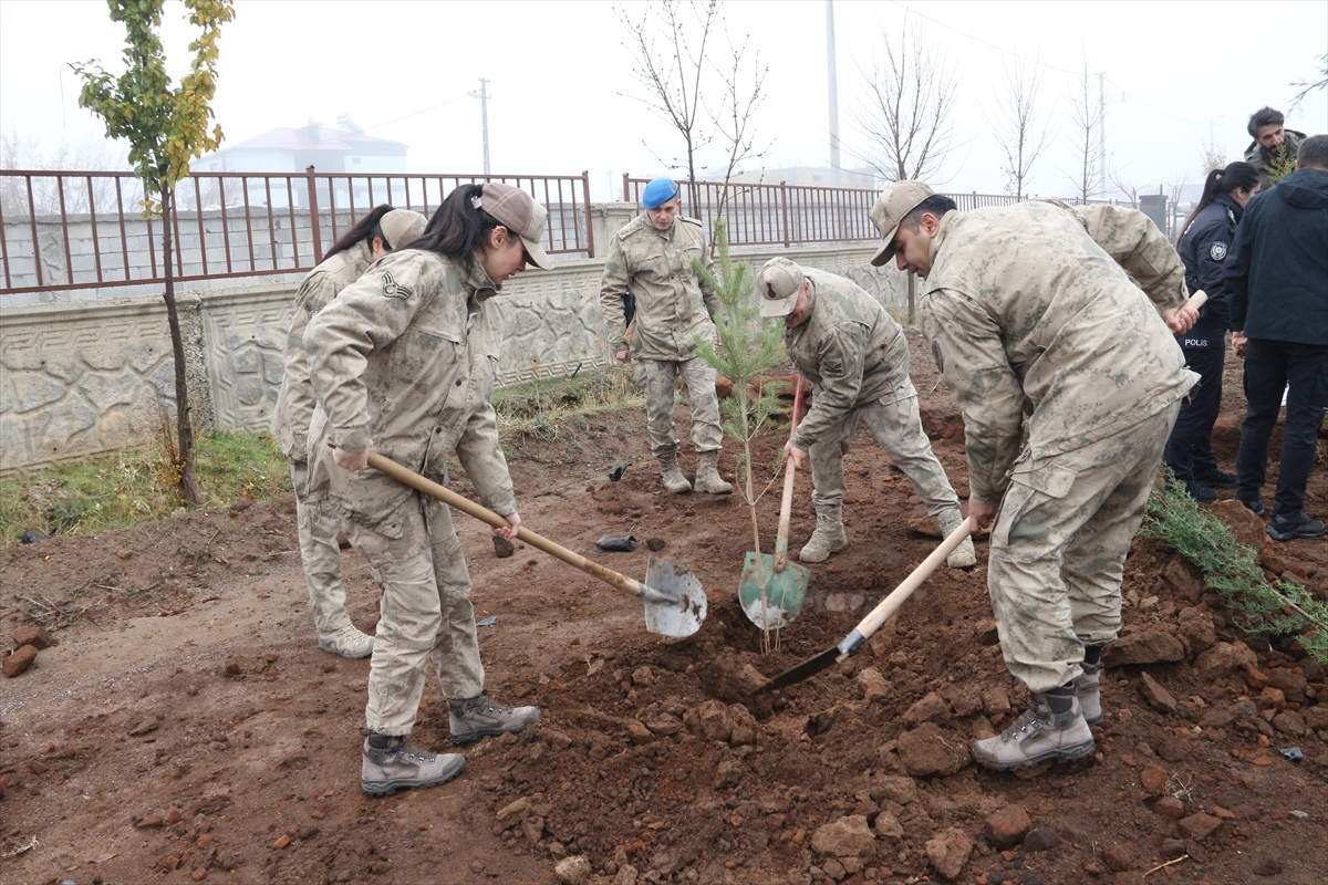 Güroymak\'ta Fidan Dikim Etkinliği