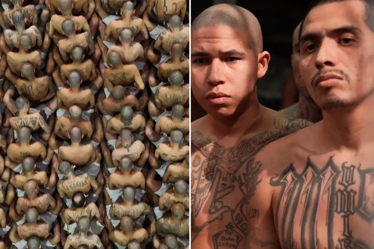 Nayib Bukele\'den cezaevi denetimi ve suçla mücadele mesajı