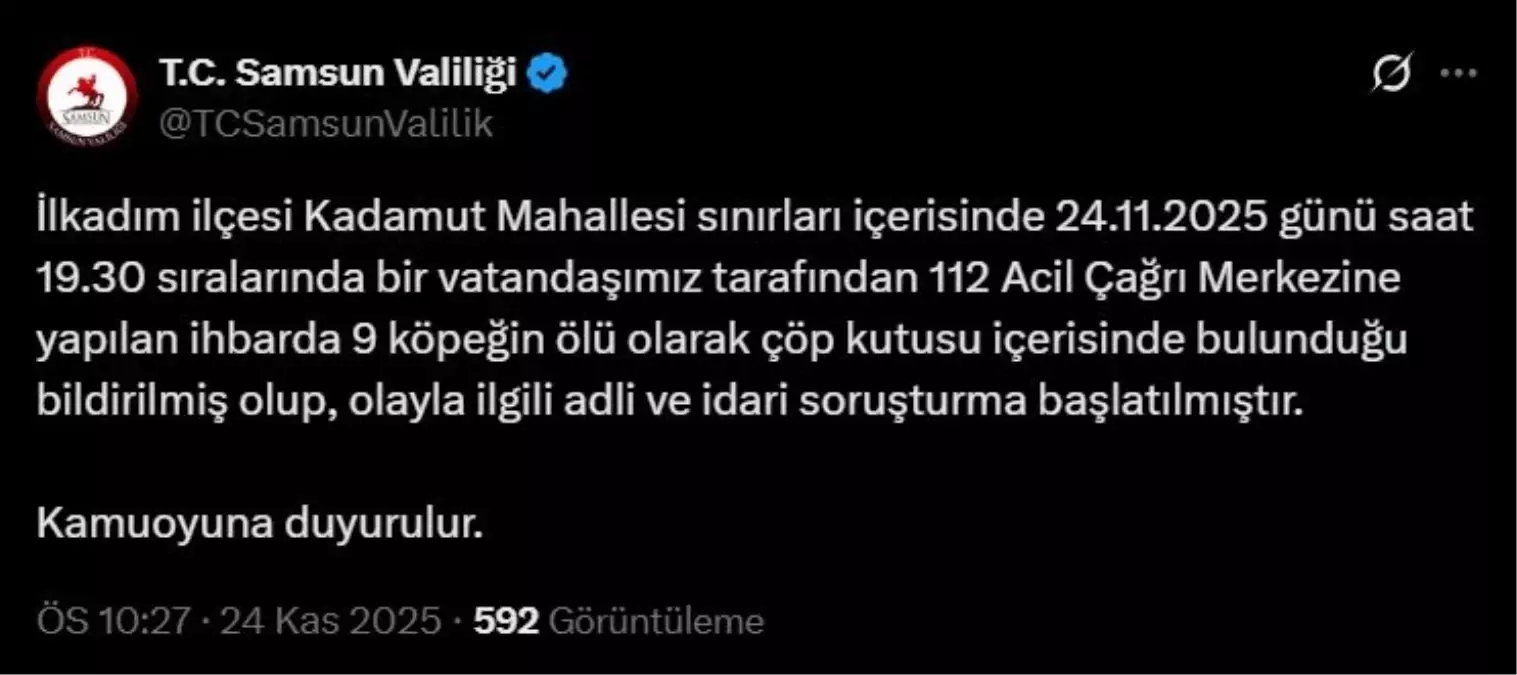 Samsun\'da 9 Köpek Ölü Bulundu