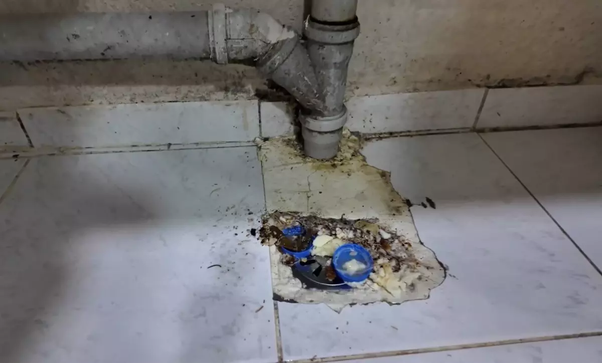 Tatlı imalathanesinde mide bulandıran görüntüler: Burası pislik içinde