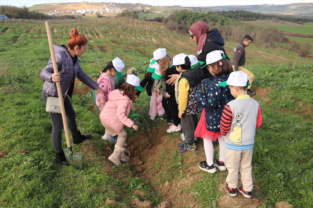 Tekirdağ\'da Fidan Dikimi Etkinliği