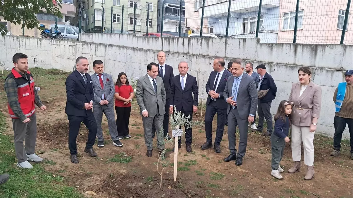 Tekkeköy\'de Fidan Dikim Etkinliği