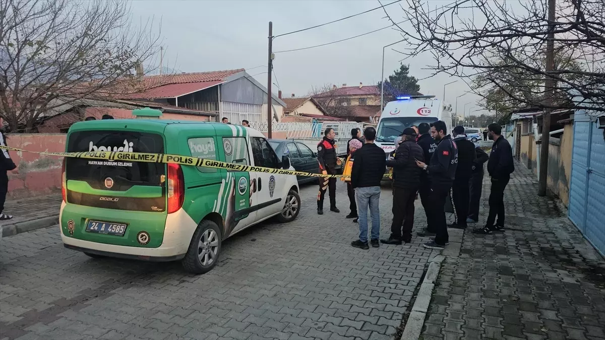 Erzincan\'da baba ile oğlu evlerinde ölü bulundu