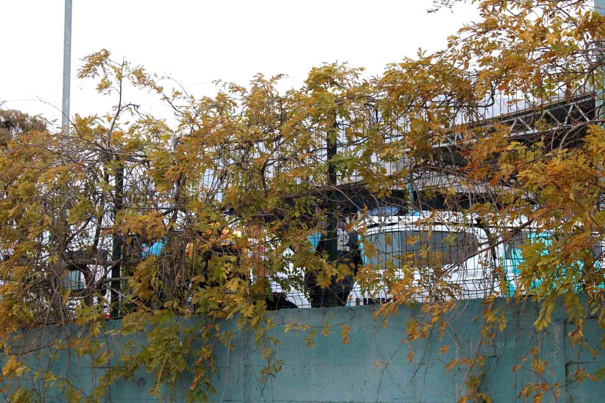 Kayseri’de Koku Kıyameti: Geri Dönüşüm Tesisi\'nde Sağlık Ekipleri Harekete Geçti