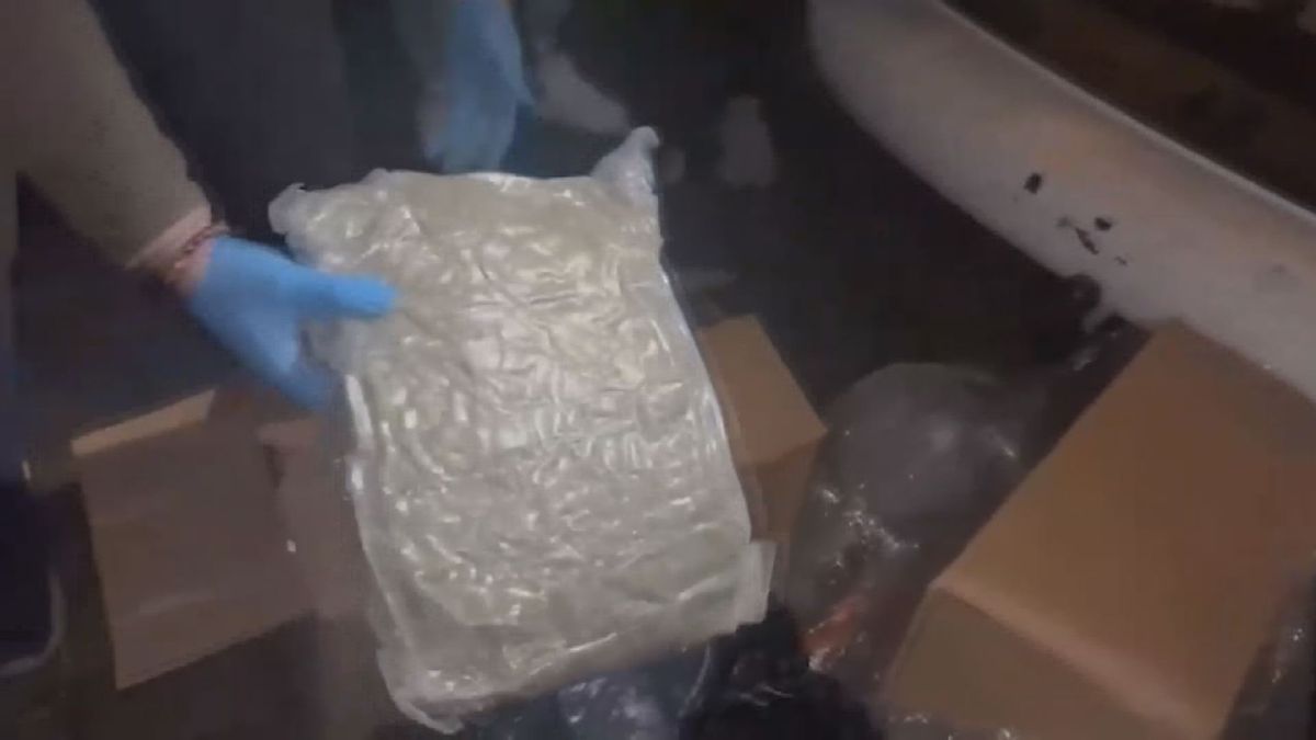 Pendik\'te 71 Kilo Skunk Ele Geçirildi
