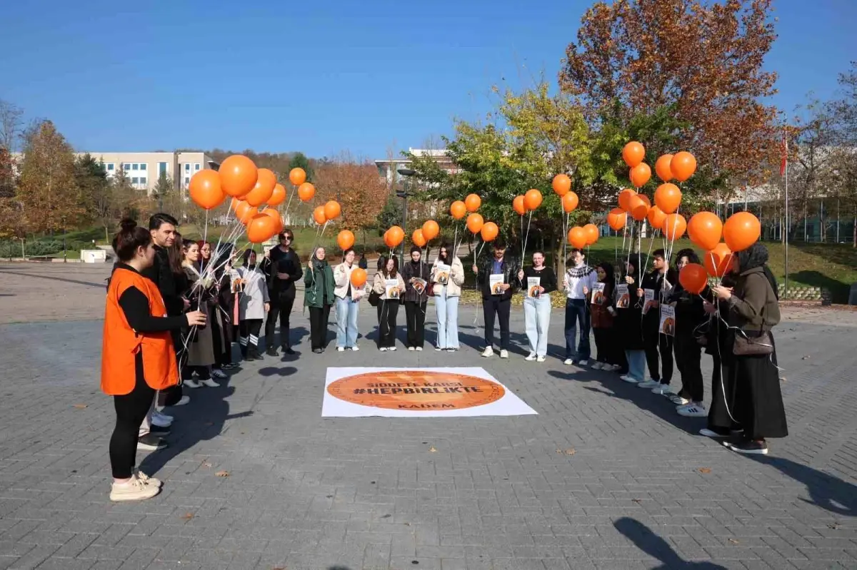 Düzce\'de Kadına Yönelik Şiddetle Mücadele Etkinliği
