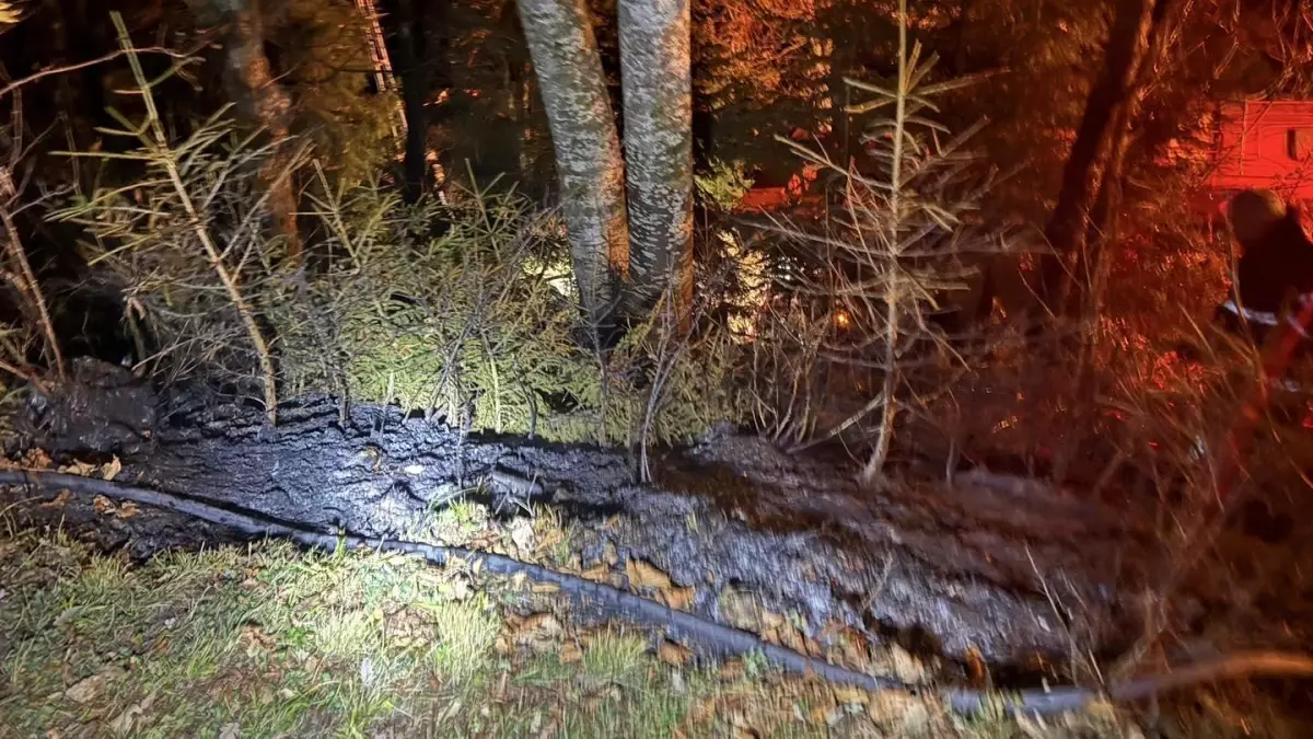 Artvin\'de Ziraat Alanında Yangın Kontrol Altına Alındı