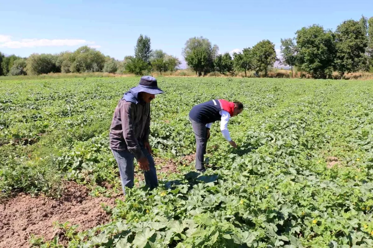 Erzincan\'da ÇKS Başvuru Süreci Sona Yaklaşıyor