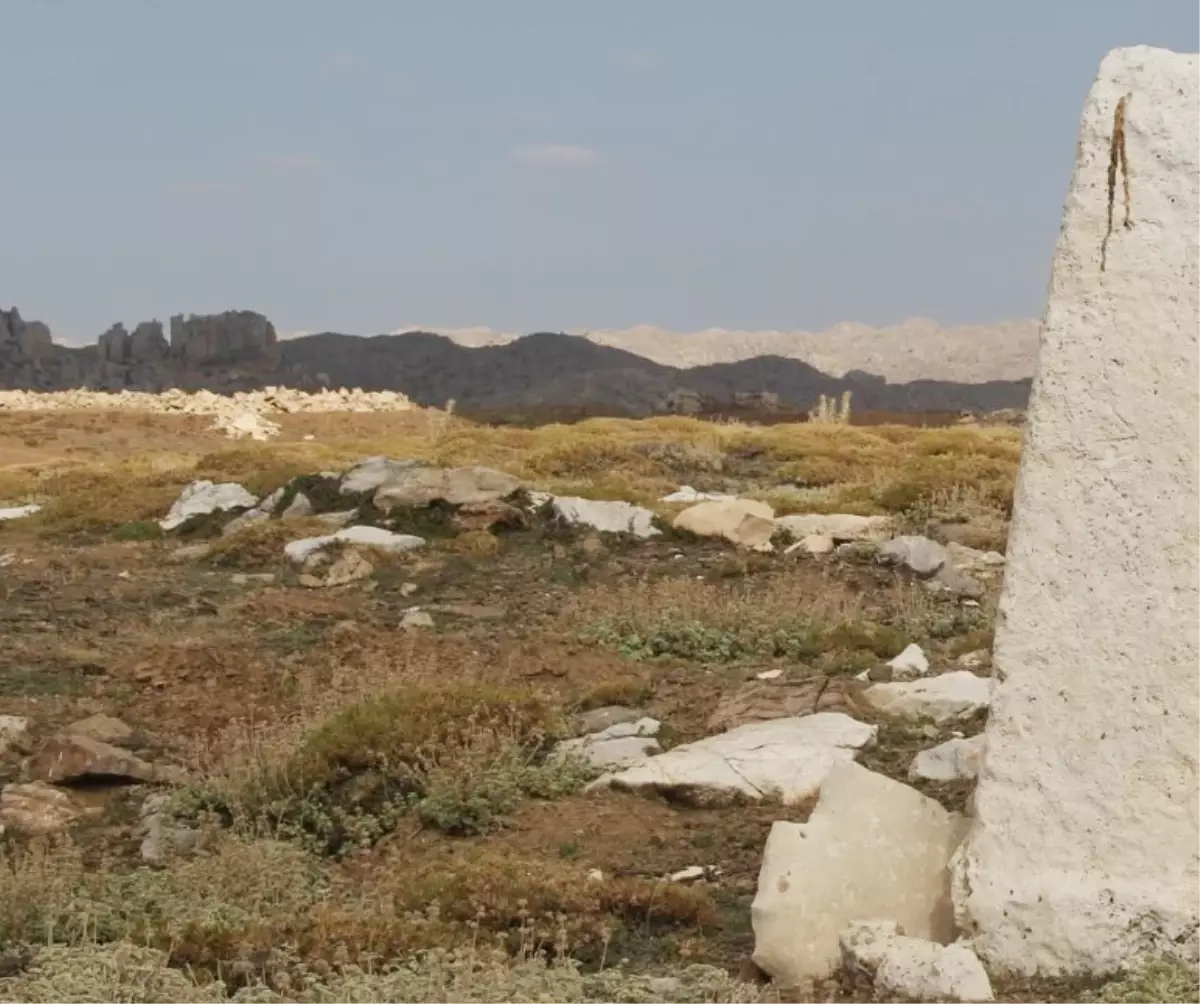 Tarihi araştırma yaparken servet buldu! Hemen ekiplere teslim etti