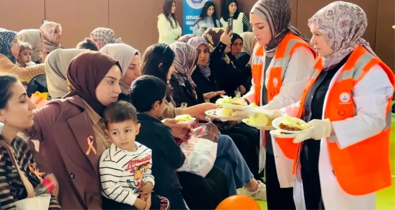 Ceylanpınar\'da Kadına Şiddete Hayır Etkinliği