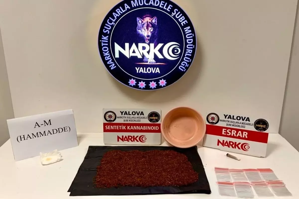 Yalova\'da Uyuşturucu Operasyonları: 12 Tutuklama