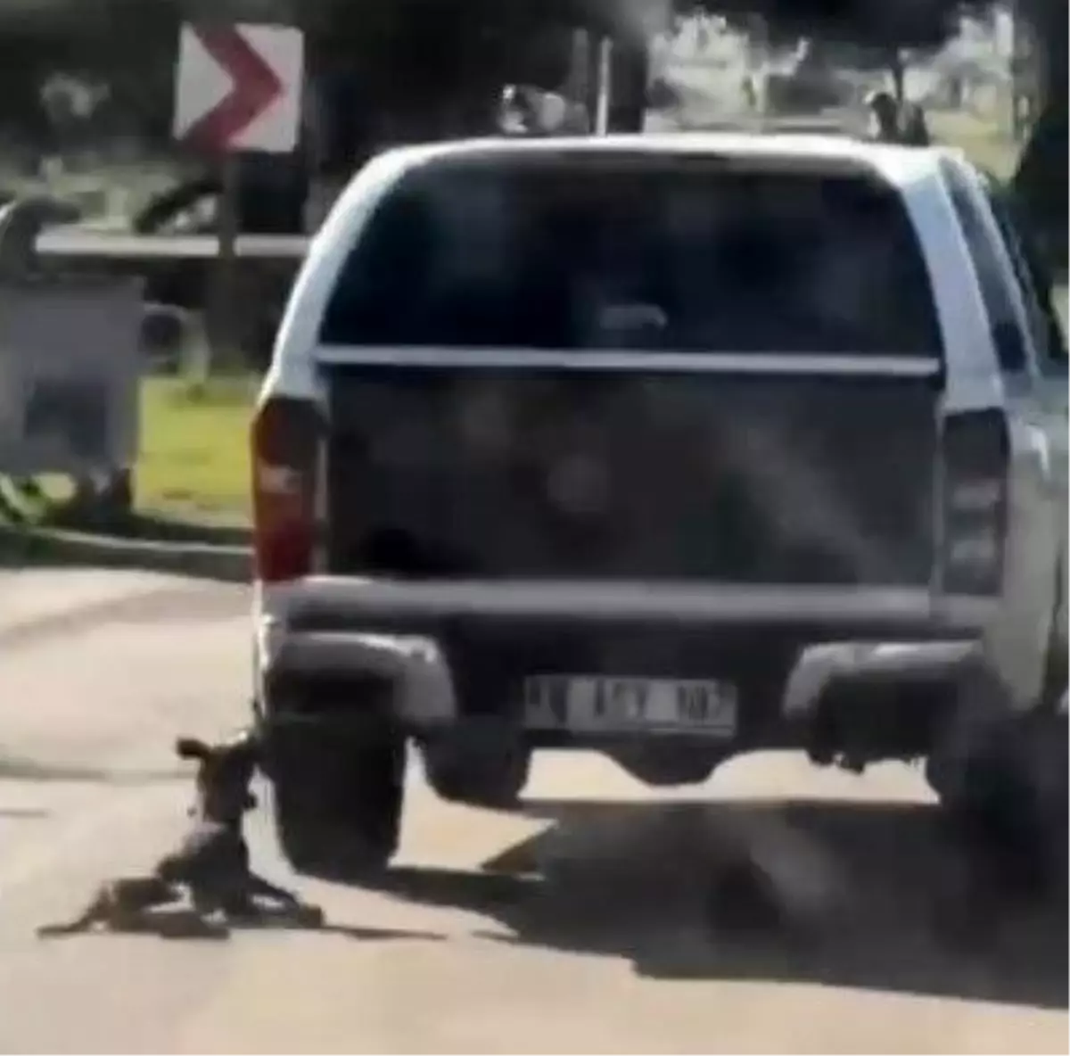 Köpeği Sürükleyen 2 Şüpheli Gözaltında