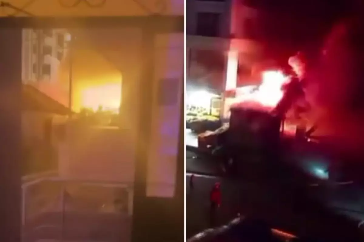 Elektrik direğine tırmanan ayı, zorlukla indirildi