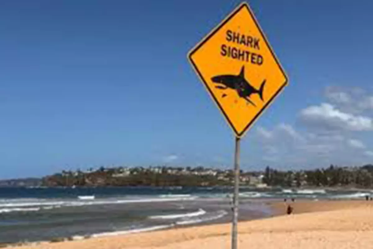 Köpekbalığı saldırısında genç kadın hayatını kaybetti