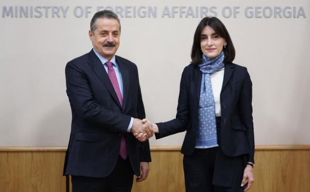 Türkiye–Gürcistan Dostluk Grubu Gürcistan'da resmi temaslarda bulundu
