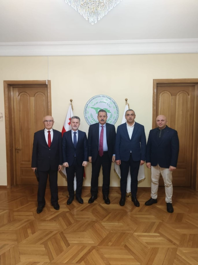 Türkiye–Gürcistan Dostluk Grubu Gürcistan'da resmi temaslarda bulundu