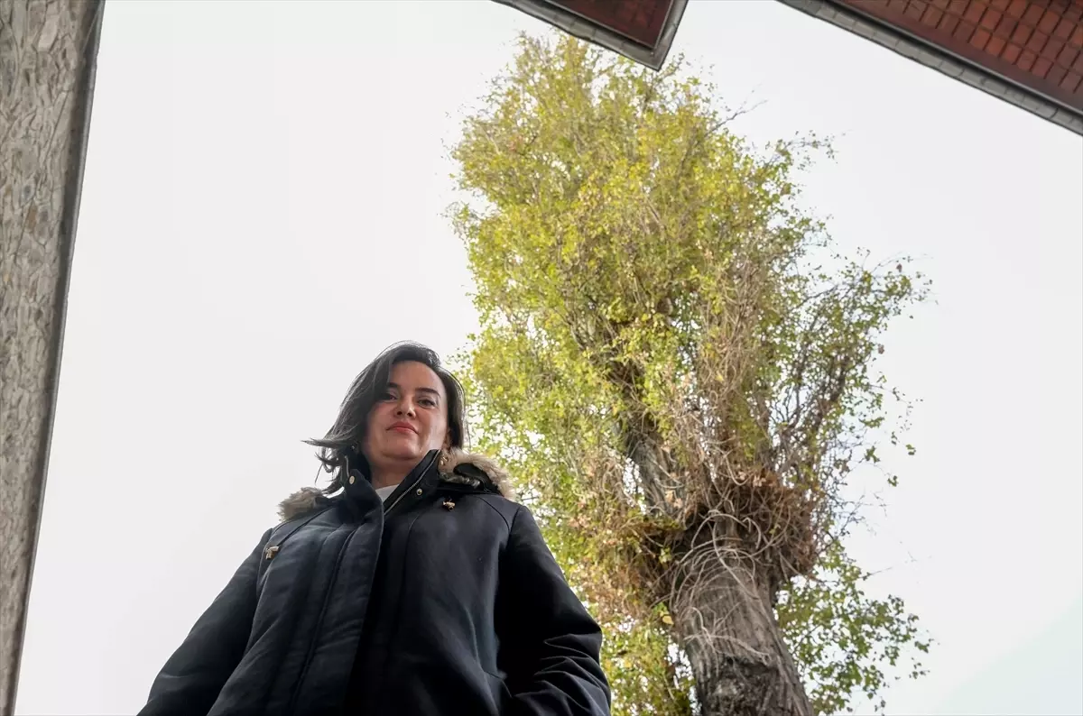 Yüzyıllık Kavak Ağaçtan Tanık: Ulucanlar Cezaevi