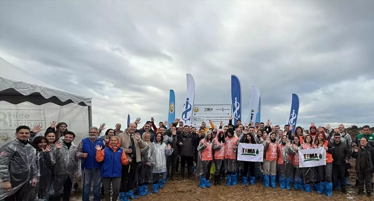 Çanakkale\'de 20 Bin Fidan Dikildi