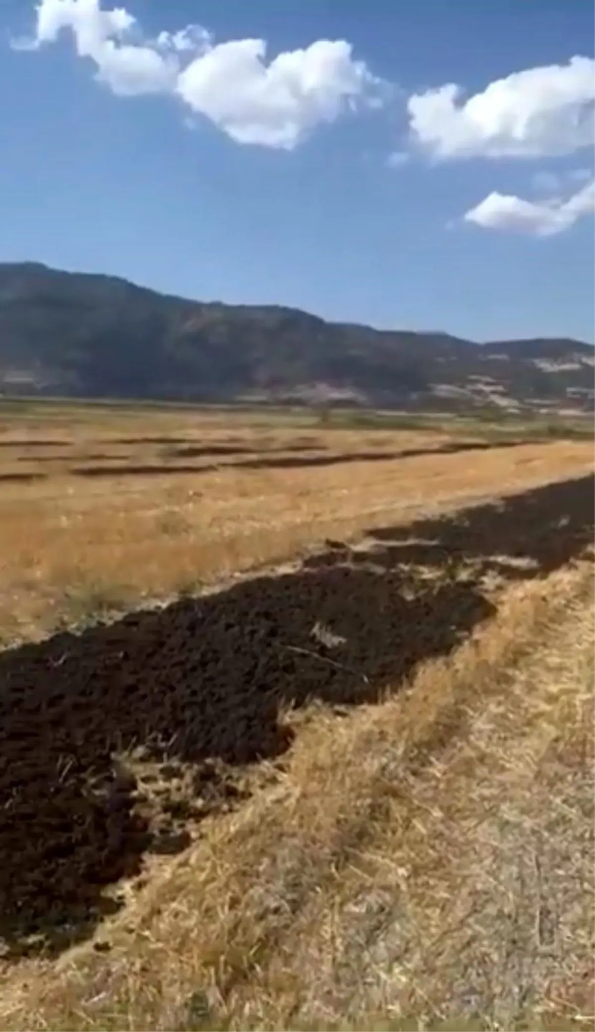 Burdur\'da Arıtma Çamuru Döken Firmaya 48 Milyon Ceza